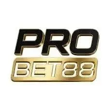PROBET88 - Game Bingo Seru dan Mengasyikkan